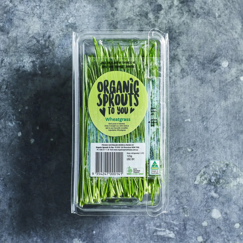 Fresh wheatgrass ready to cut and juice