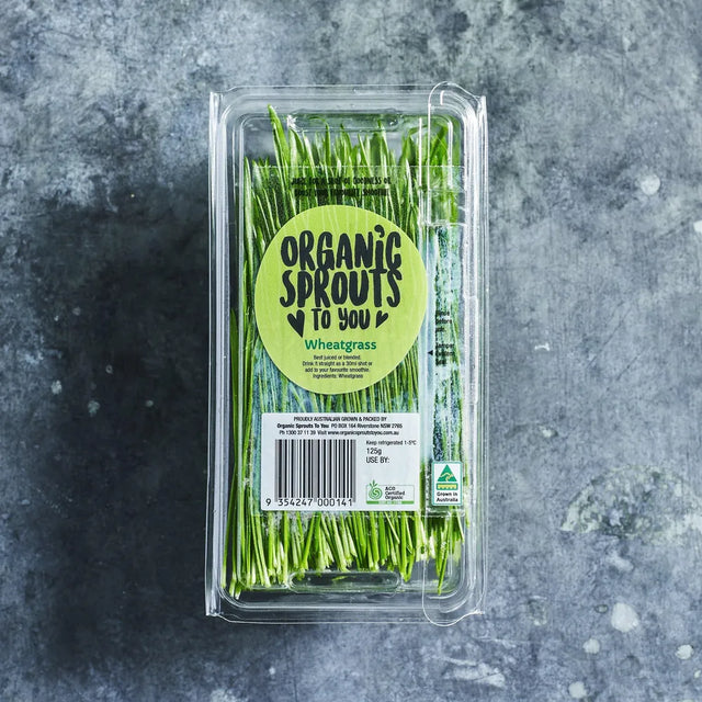 Fresh wheatgrass ready to cut and juice