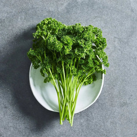 Curled parsley herb seeds