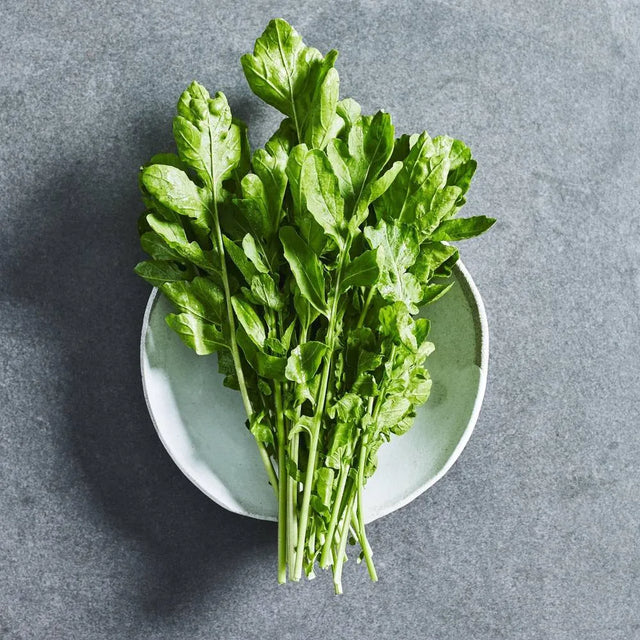Wild rocket herb seeds