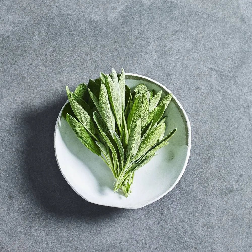 Sage herb seeds