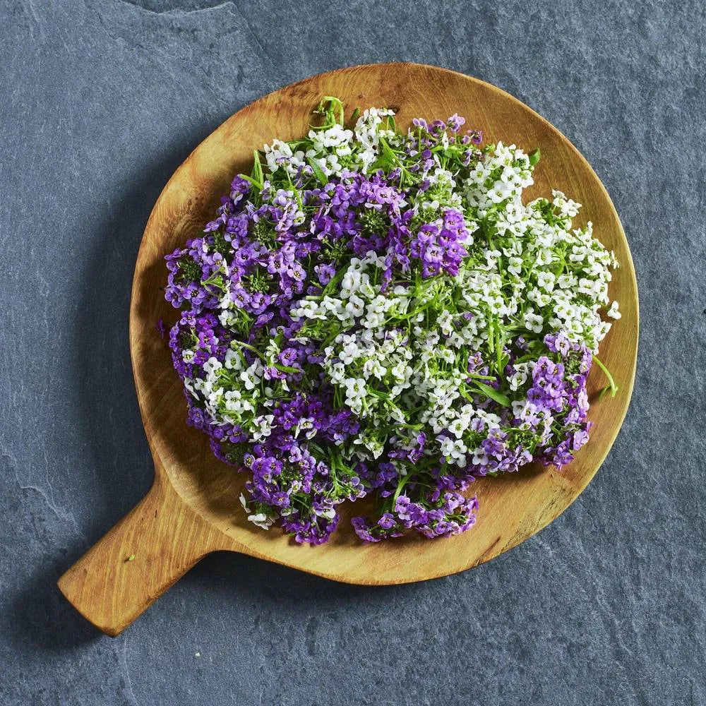 Sweet alyssum 'Easter Bonnet' mixed edible flower seeds