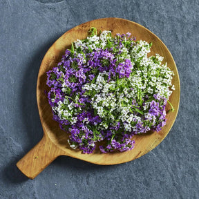 Sweet alyssum 'Easter Bonnet' mixed edible flower seeds