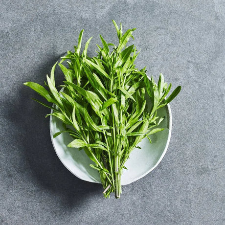 Tarragon herb seeds