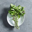 Thai basil herb seeds