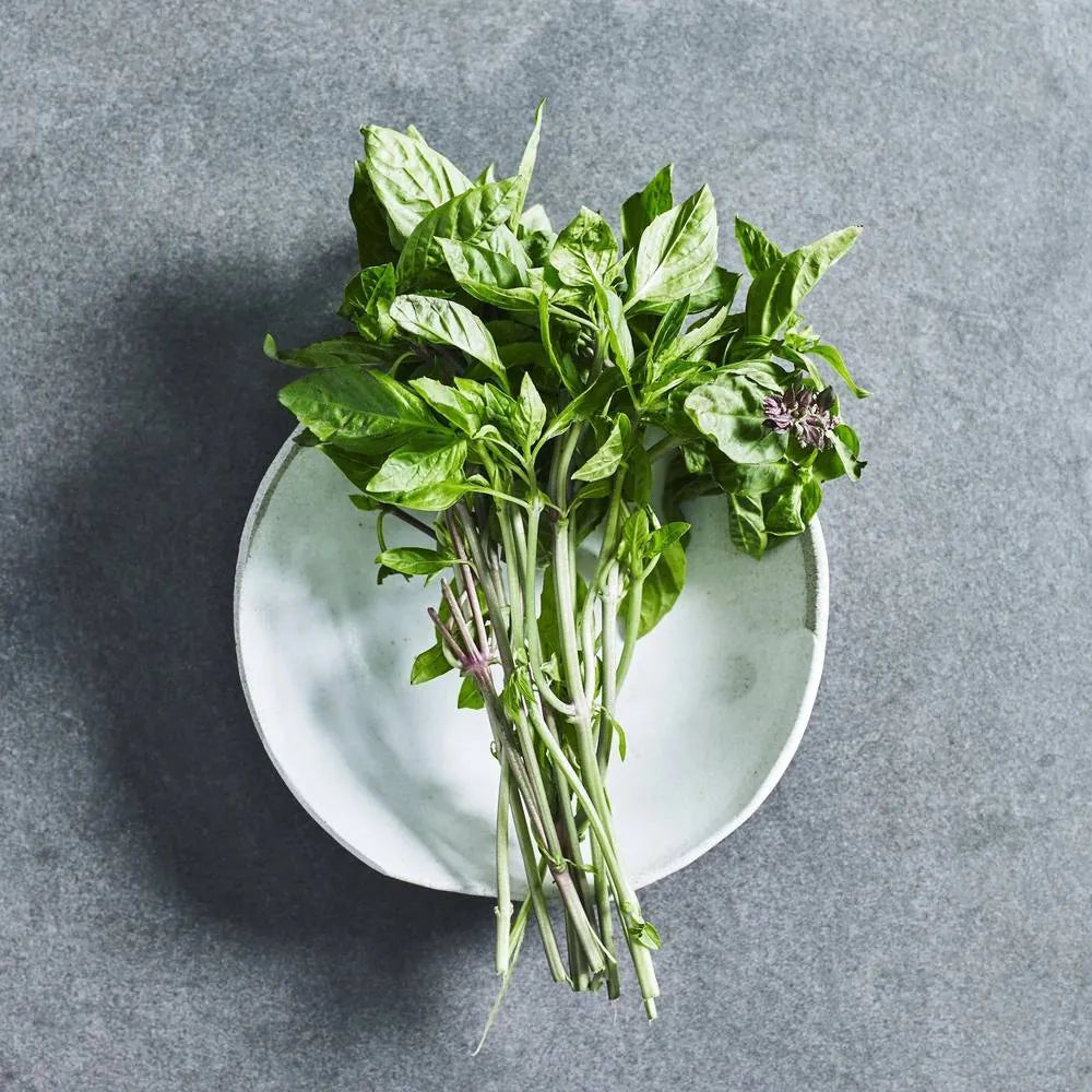 Thai basil herb seeds