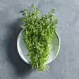 Thyme herb seeds