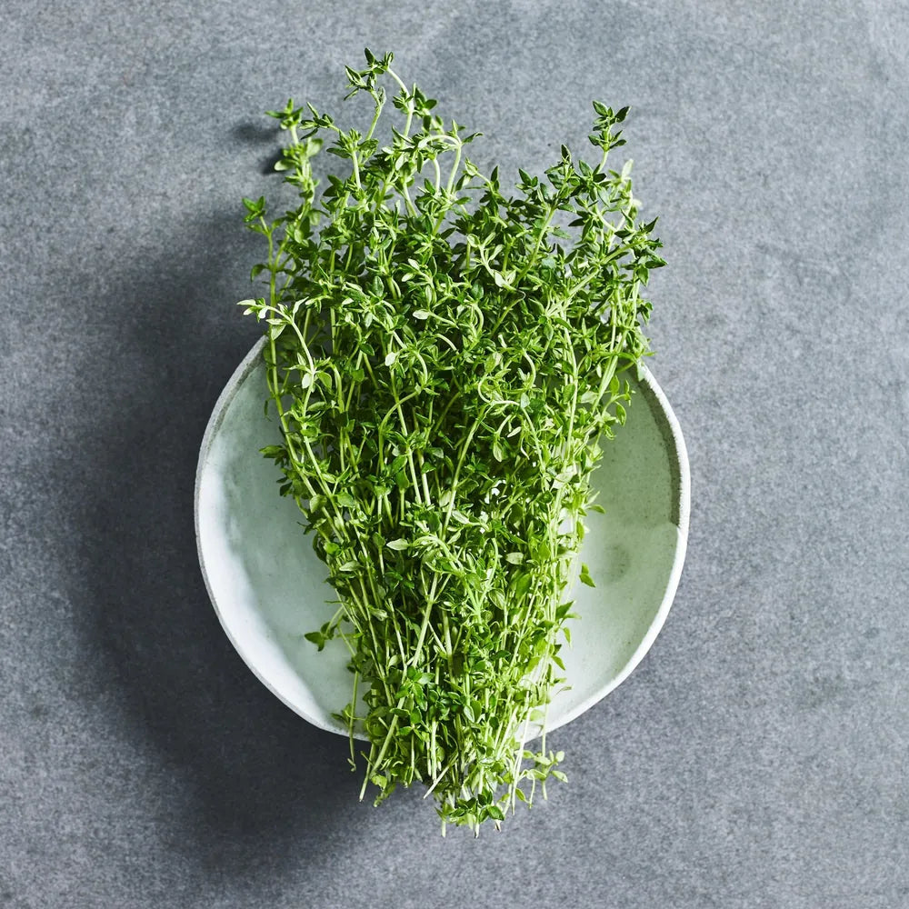 Thyme herb seeds
