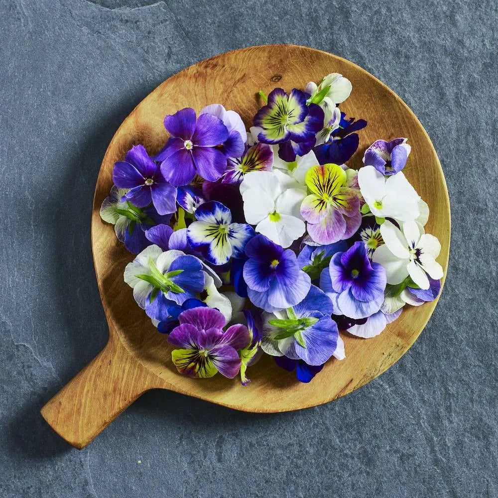 Viola 'Sorbet XP Mix' edible flower seeds