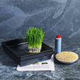 Wheatgrass grow kit with seeds, trays, fertiliser and instructions