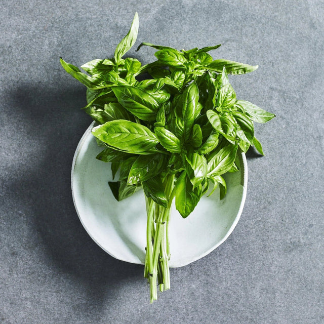 Large leaf sweet basil herb seeds
