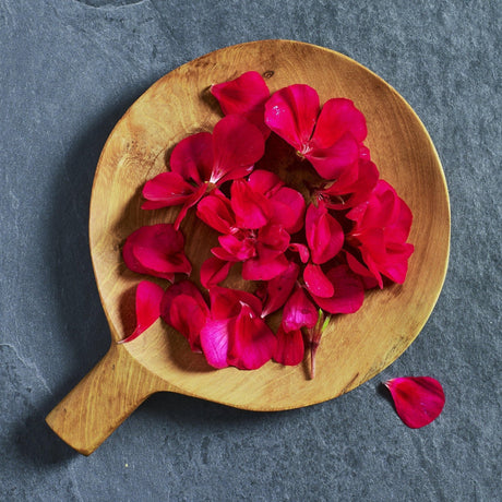 Geranium 'Apache Violet' edible flower seeds