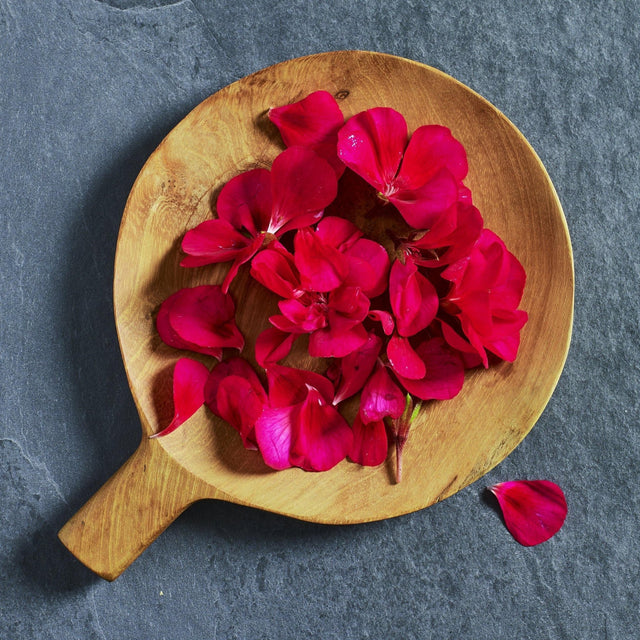 Geranium 'Apache Violet' edible flower seeds