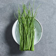 Onion chive herb seeds