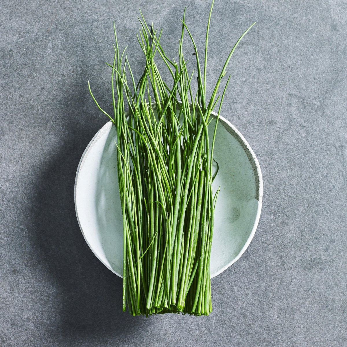 Onion chive herb seeds