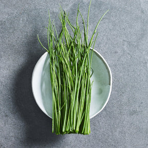 Onion chive herb seeds