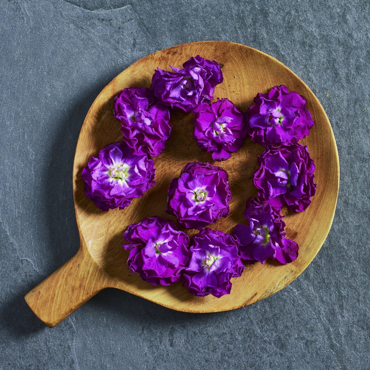 Stock 'Iron Purple' edible flower seeds